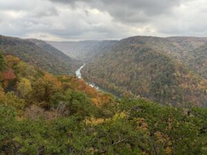 img 1314 copy