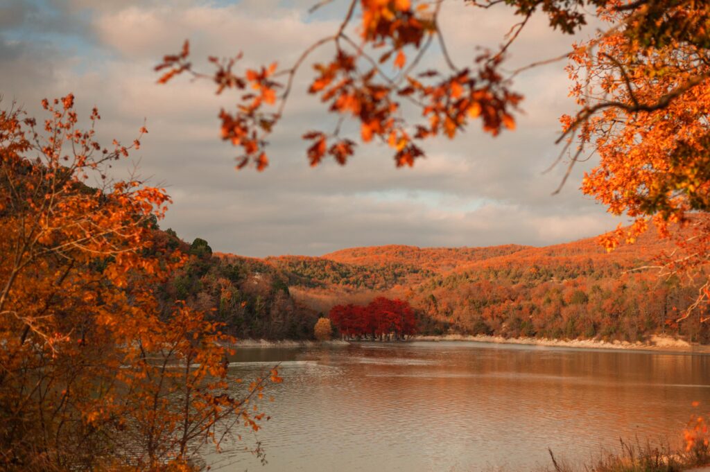 Top 8 Autumn Escapes autumn landscape cypress trees growing from the la 2024 12 06 01 13 19 utc