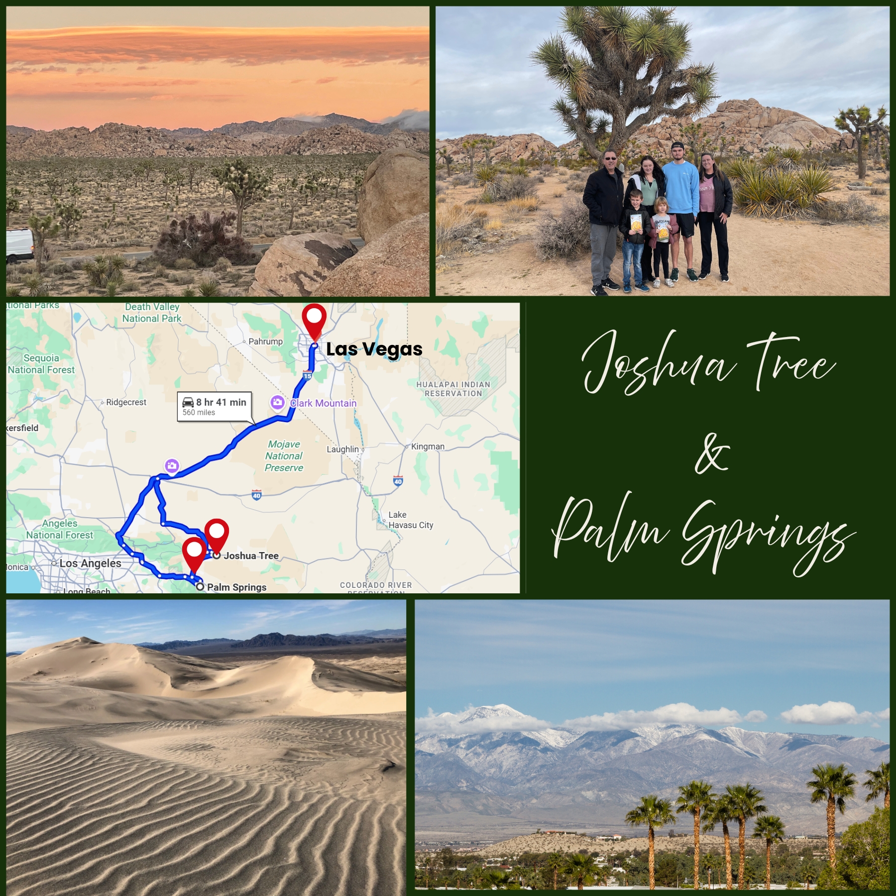 joshua tree palm springs
