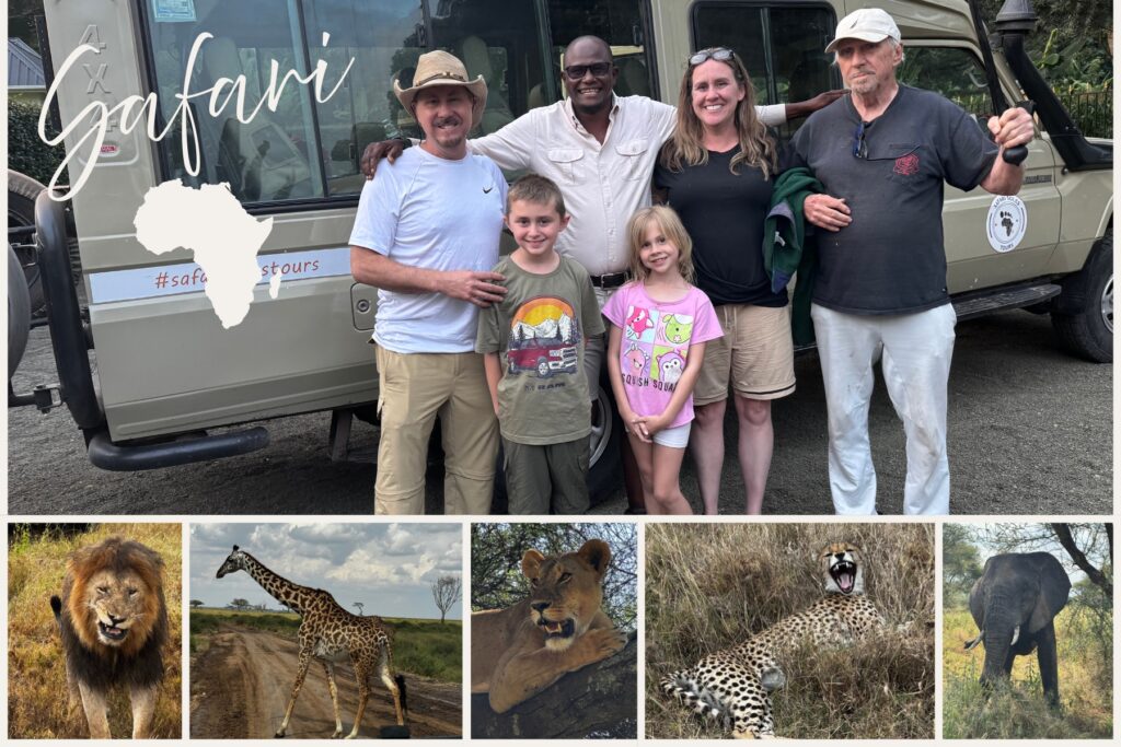 safari