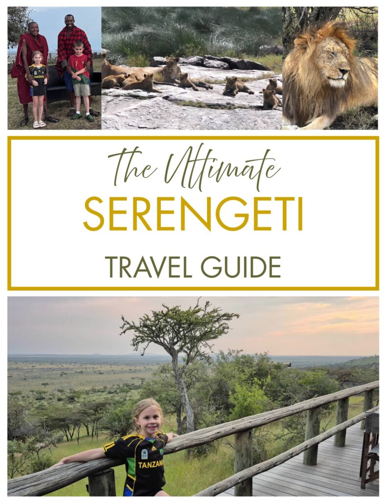 serengeti (1)
