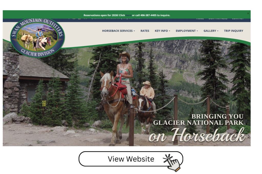 view website (1)
