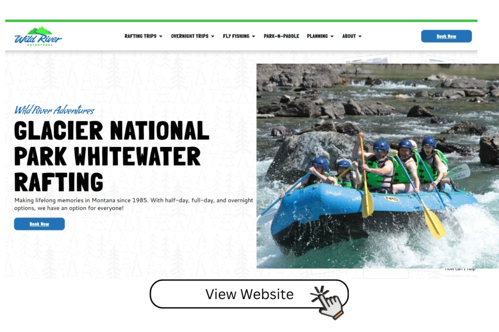 view website