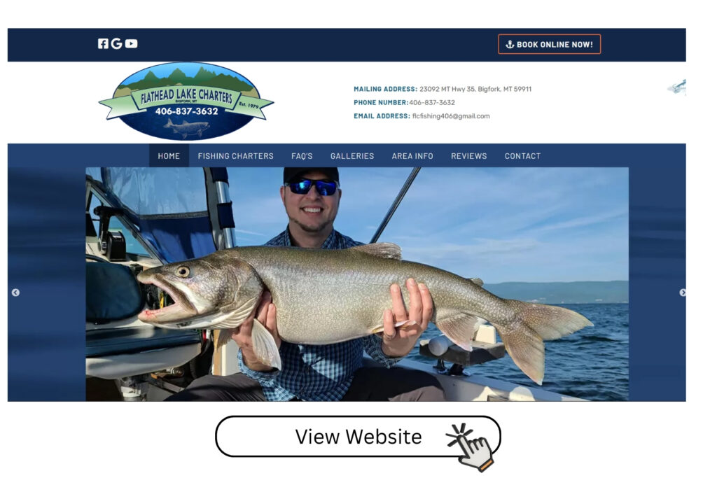 view website (2)